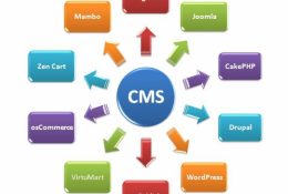 Зачем обновлять CMS сайта? Достоинства и недостатки